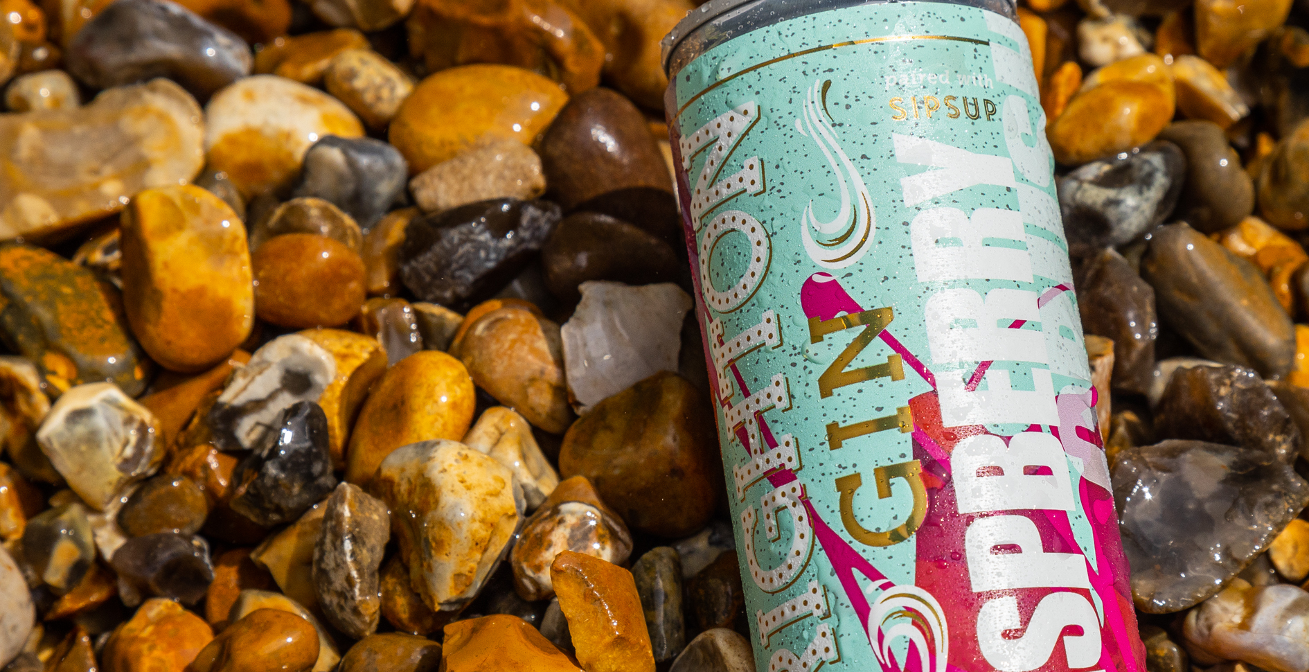 Brighton Gin Cans