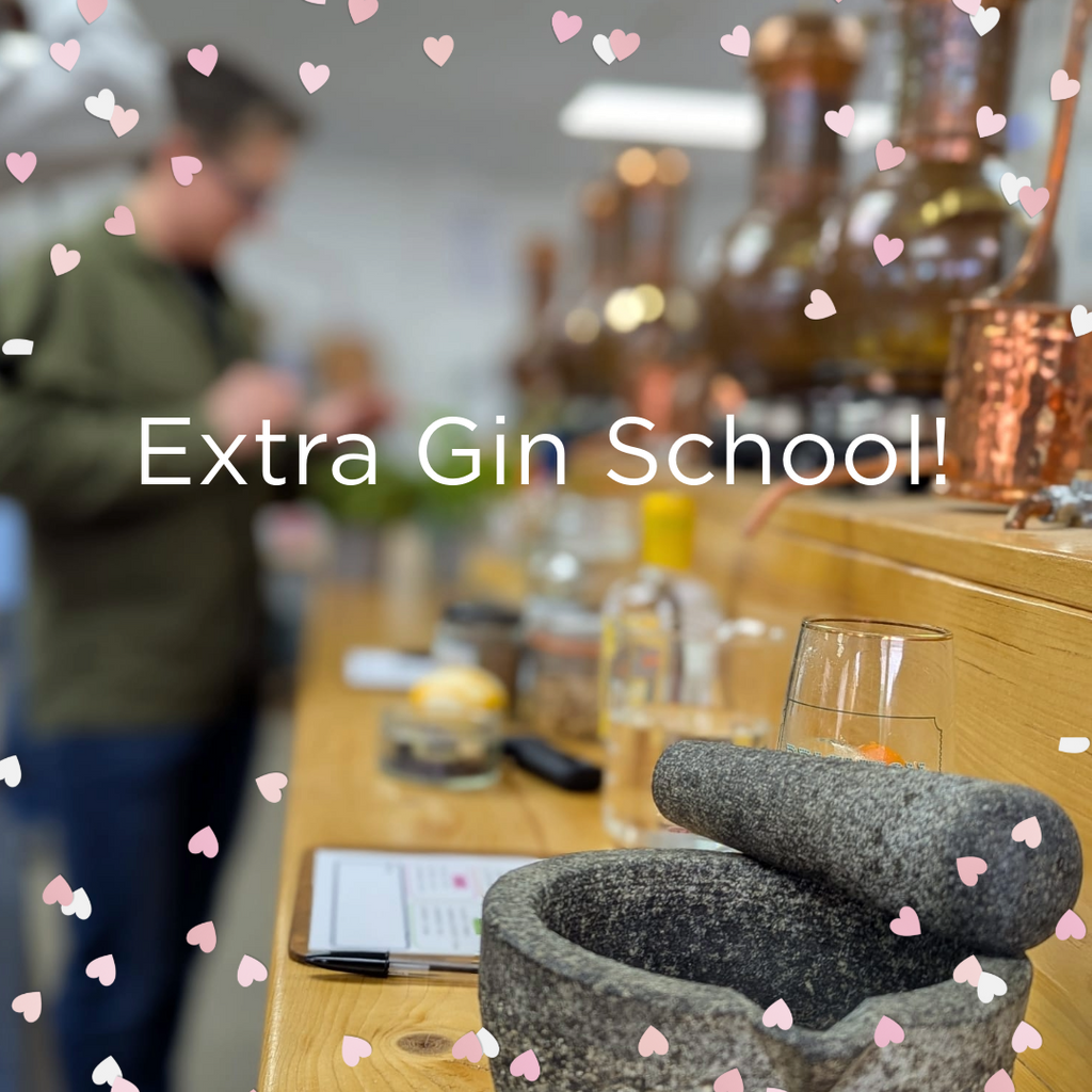 Join our Valentine's / Palentine's / Galentines's special Gin School on Saturday February 15th