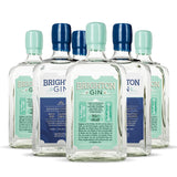 Brighton Gin Case - 6 x 700ml Mixed Bottles
